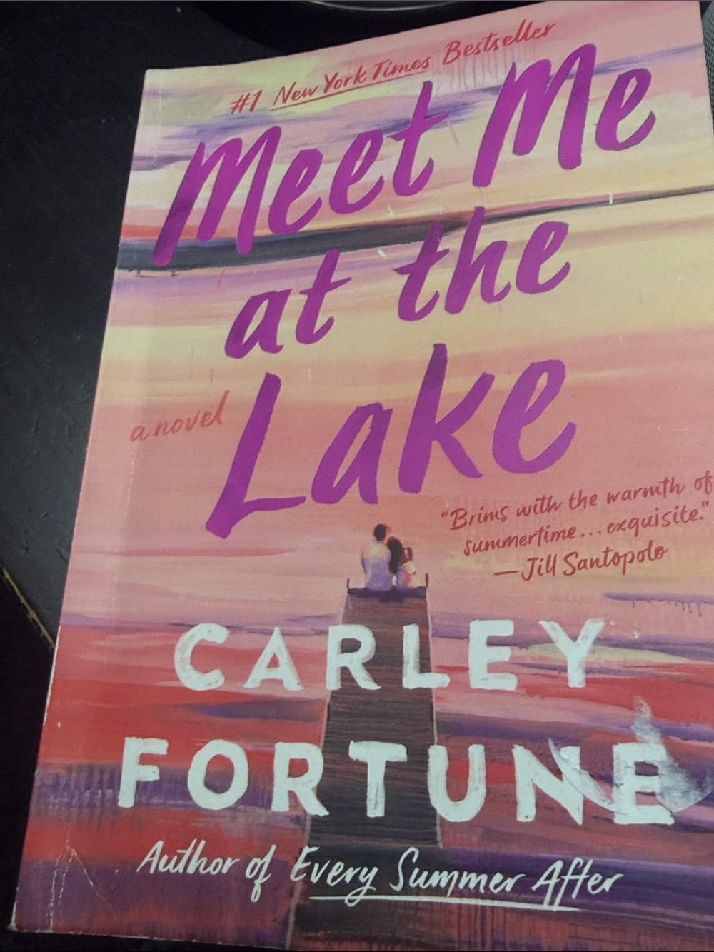 Meet me at the lake- Carly fortune